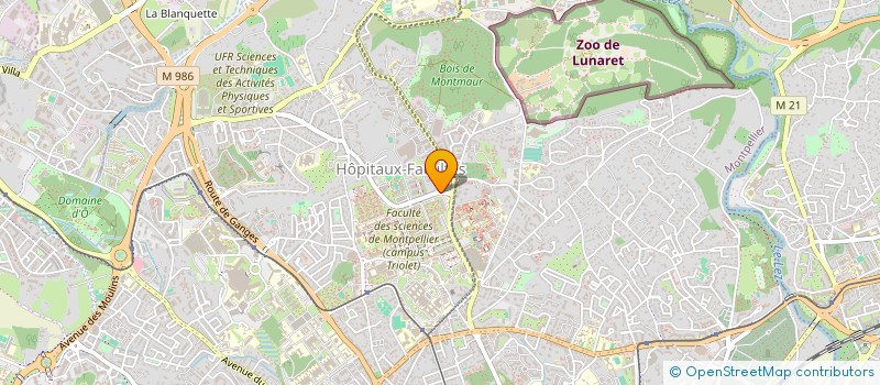 localisation de l'entreprise MONSIEUR LUCAS AISSAOUI à MONTPELLIER
