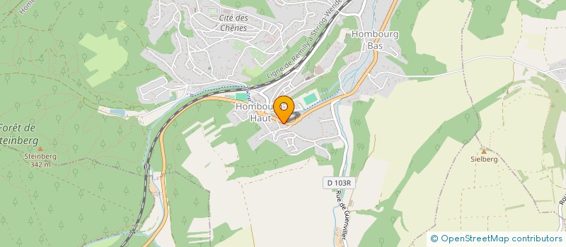 localisation de l'entreprise MONSIEUR LUCAS BAHLINGER  HOMBOURG-HAUT