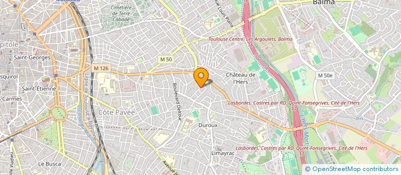 localisation de l'entreprise MONSIEUR LUCAS BERTHEREAU à TOULOUSE