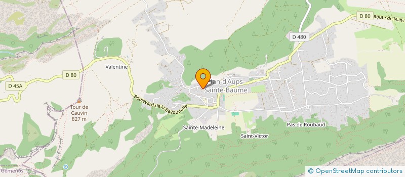 localisation de l'entreprise MONSIEUR LUCAS BIZZARI  PLAN-D'AUPS-SAINTE-BAUME