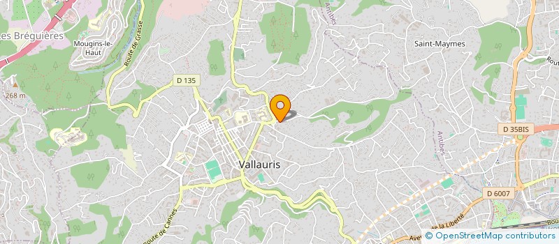 localisation de l'entreprise MONSIEUR LUCAS CAMOS  VALLAURIS