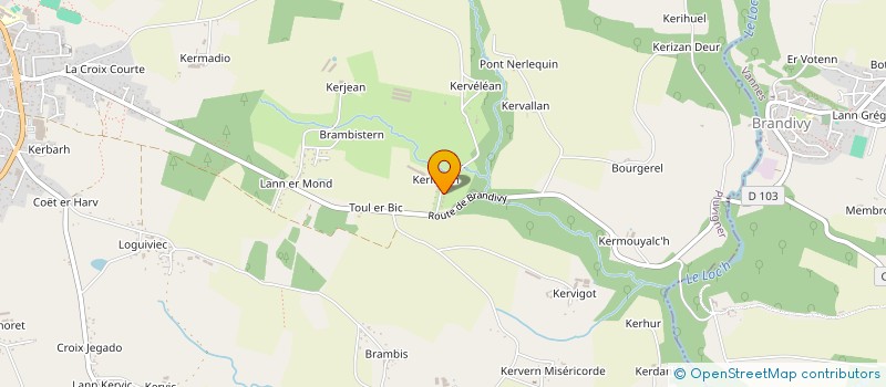 localisation de l'entreprise MONSIEUR LUCAS COHO  PLUVIGNER