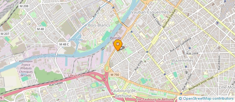 localisation de l'entreprise MONSIEUR LUCAS DROUVIN à LILLE