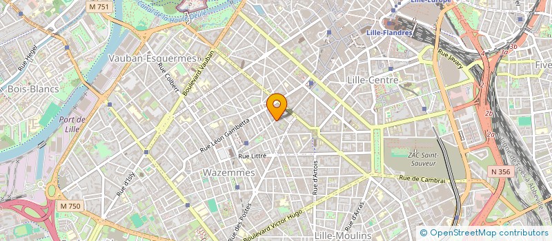 localisation de l'entreprise MONSIEUR LUCAS FITZNER  LILLE