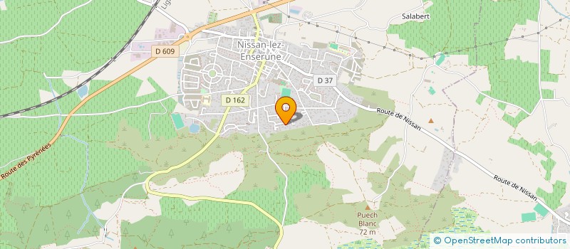 localisation de l'entreprise MONSIEUR LUCAS GRAY  NISSAN-LEZ-ENSERUNE