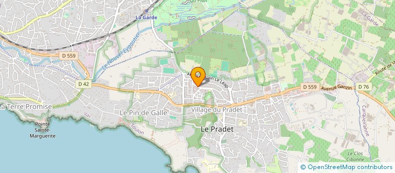 localisation de l'entreprise MONSIEUR LUCAS LANEUVILLE  LE PRADET