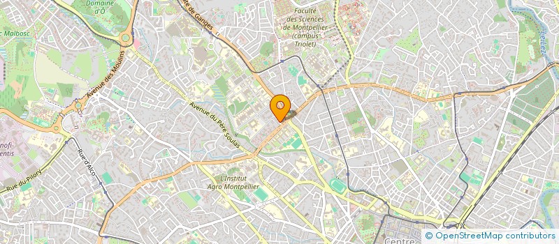 localisation de l'entreprise MONSIEUR LUCAS MAMOU à MONTPELLIER
