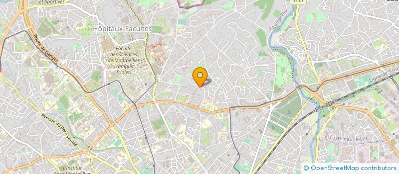 localisation de l'entreprise MONSIEUR LUCAS MOSCARIELLO à MONTPELLIER