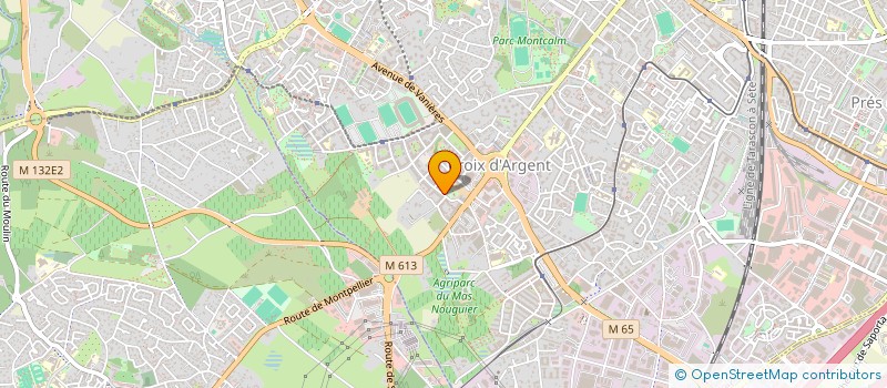 localisation de l'entreprise MONSIEUR LUCAS NICOLAS  MONTPELLIER