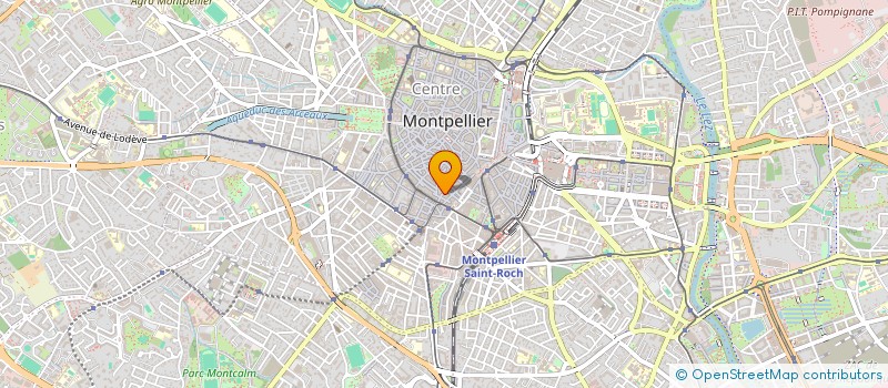 localisation de l'entreprise MONSIEUR LUCAS RAMOND  MONTPELLIER