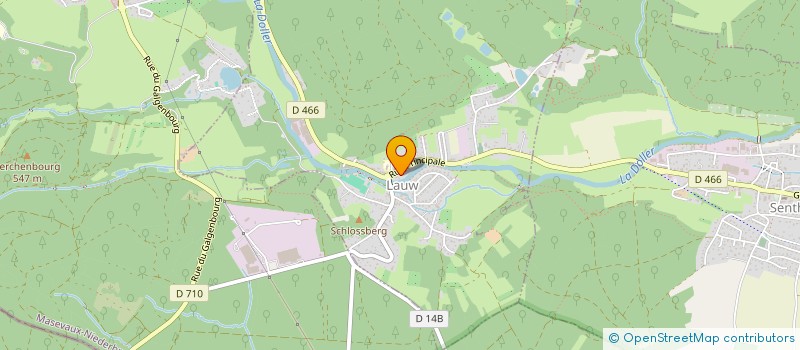 localisation de l'entreprise MONSIEUR LUCAS REINHERR  BOURBACH-LE-BAS