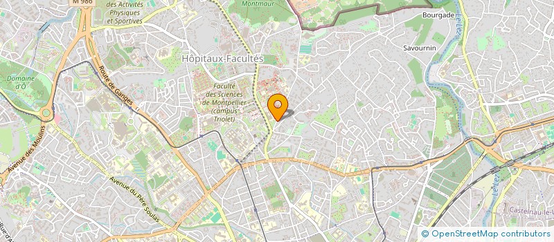 localisation de l'entreprise MONSIEUR LUCAS RICARD à MONTPELLIER