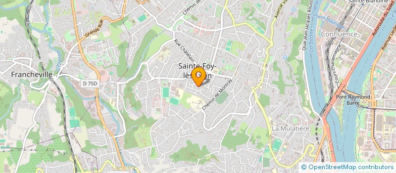 localisation de l'entreprise MONSIEUR LUCAS RICHEZ  SAINTE-FOY-LES-LYON