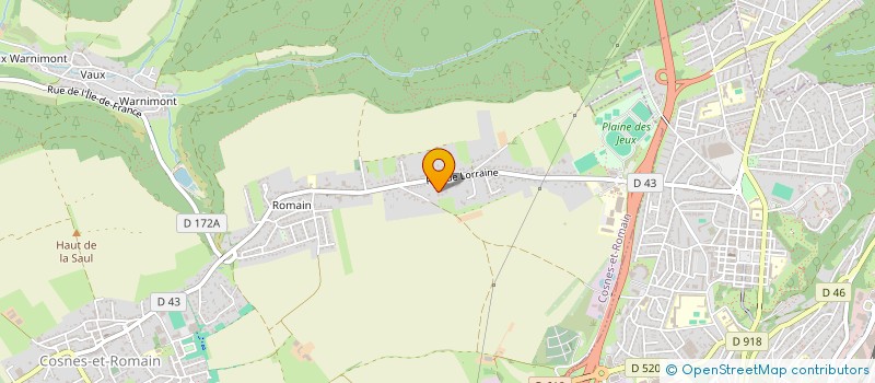 localisation de l'entreprise MONSIEUR LUCAS SALVI  COSNES-ET-ROMAIN