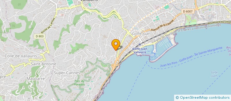 localisation de l'entreprise MONSIEUR LUCAS SINGER  VALLAURIS