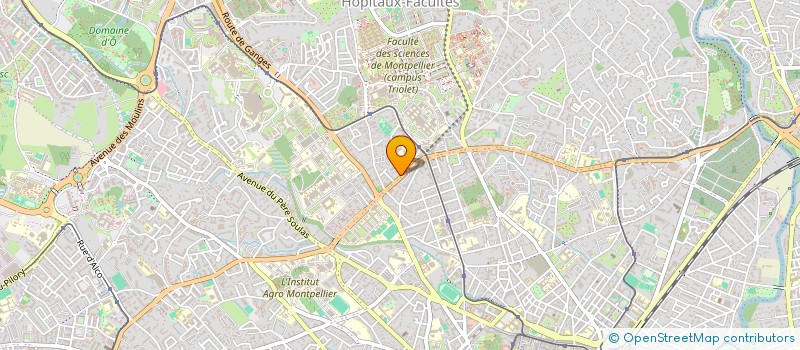 localisation de l'entreprise MONSIEUR LUCAS SORIANO-BARDON à MONTPELLIER