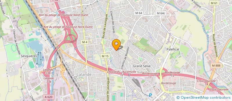 localisation de l'entreprise MONSIEUR LUCIAN PETCHY  TOULOUSE