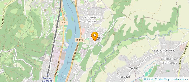 localisation de l'entreprise MONSIEUR LUDOVIC BASSET  FLEURIEU-SUR-SAONE