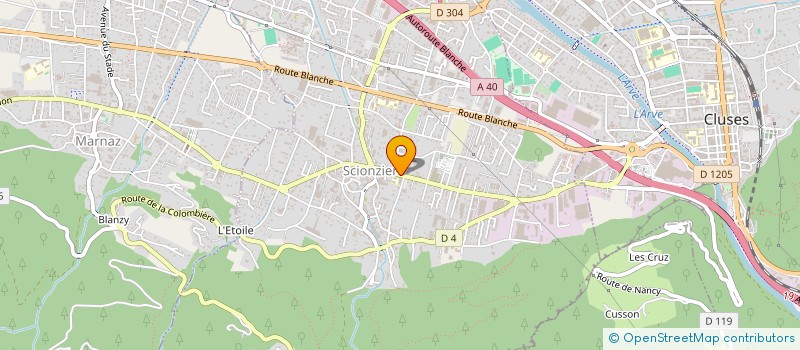 localisation de l'entreprise MONSIEUR LUDOVIC BICHOFFE  SCIONZIER