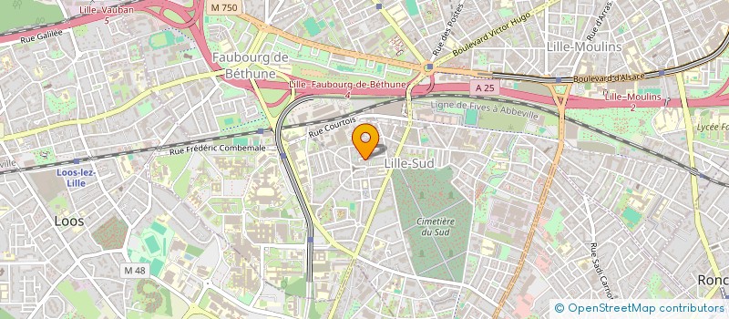 localisation de l'entreprise MONSIEUR LUDOVIC DENIS  LILLE