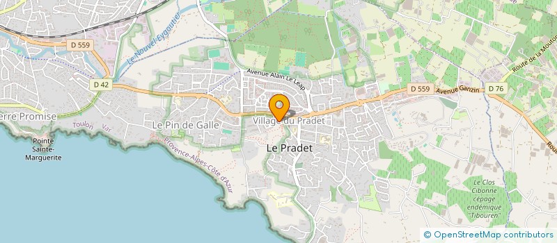 localisation de l'entreprise MONSIEUR LUDOVIC DI PRIMA à LE PRADET
