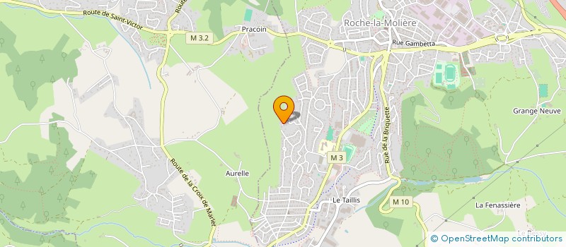 localisation de l'entreprise MONSIEUR LUDOVIC FARGEAS  ROCHE-LA-MOLIERE