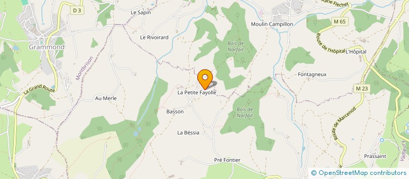 localisation de l'entreprise MONSIEUR LUDOVIC FAYOLLE à SAINT-CHRISTO-EN-JAREZ