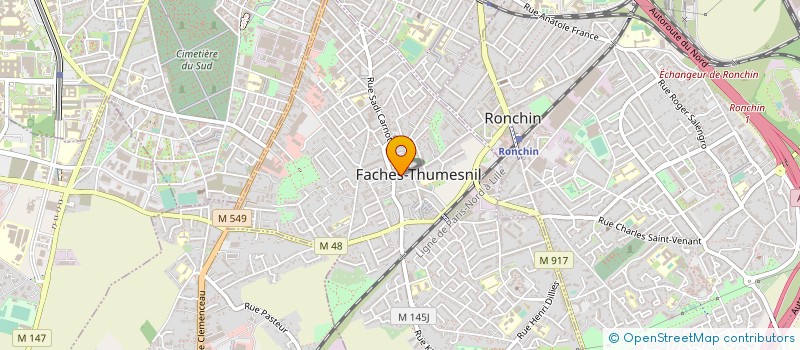 localisation de l'entreprise MONSIEUR LUDOVIC FORTUNE  FACHES-THUMESNIL