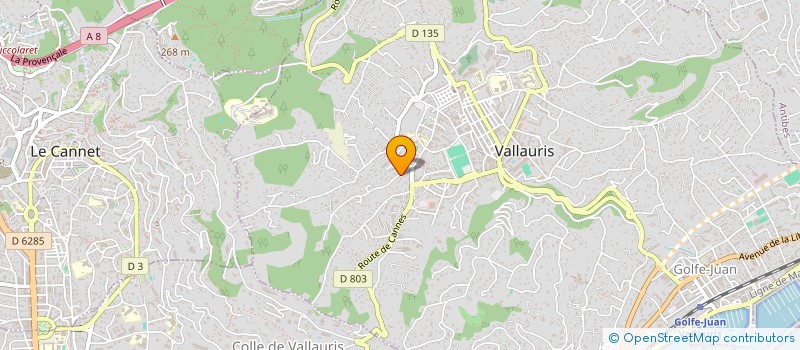 localisation de l'entreprise MONSIEUR LUDOVIC MIRETTI à VALLAURIS