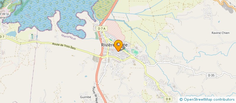 localisation de l'entreprise MONSIEUR LUDOVIC PEREAU  RIVIERE-SALEE