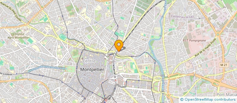 localisation de l'entreprise MONSIEUR LUDOVIC PEREIRA BORGES à MONTPELLIER
