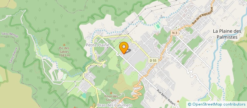 localisation de l'entreprise MONSIEUR LUDOVIC PICARD  LA PLAINE-DES-PALMISTES