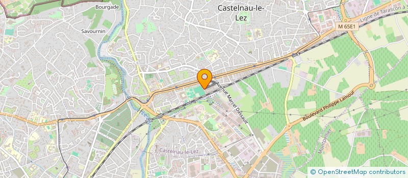 localisation de l'entreprise MONSIEUR LUDOVIC PLOTON  LA GRANDE-MOTTE