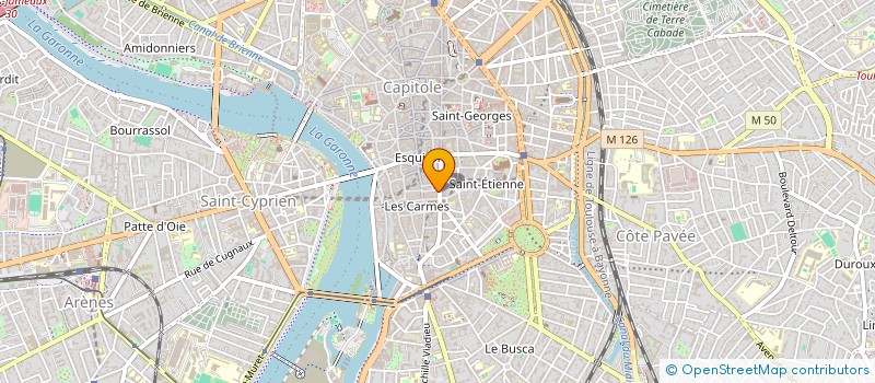 localisation de l'entreprise MONSIEUR LUDOVIC RICARD à TOULOUSE