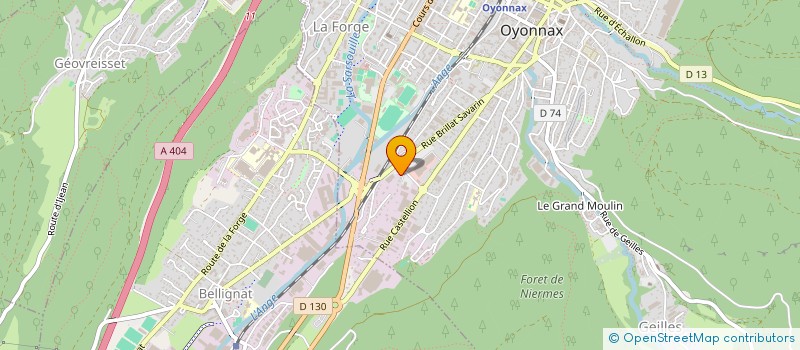 localisation de l'entreprise MONSIEUR LUDOVIC RODRIGUES à OYONNAX