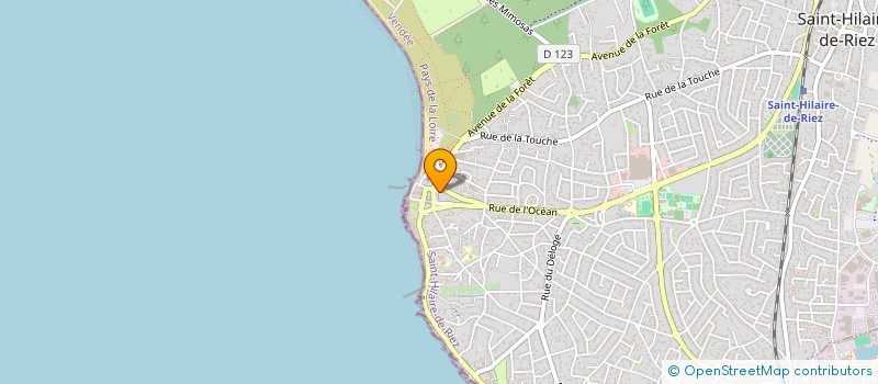 localisation de l'entreprise MONSIEUR LUDWIG CHAUVIN  NOTRE-DAME-DE-RIEZ