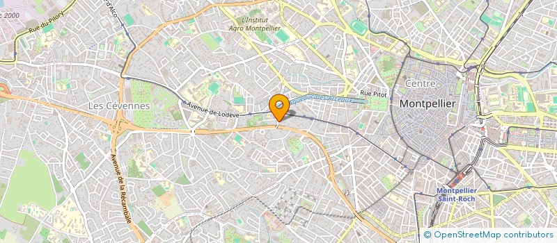 localisation de l'entreprise MONSIEUR LUIGI ONNI  MONTPELLIER