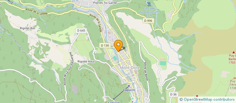 localisation de l'entreprise MONSIEUR LUIS ALBERTO CALLEJON-BERENGUEL  MONT-DORE