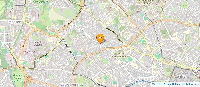 localisation de l'entreprise MONSIEUR LUIS ANTONIO MUGEIRO RODRIGUES à MONTPELLIER