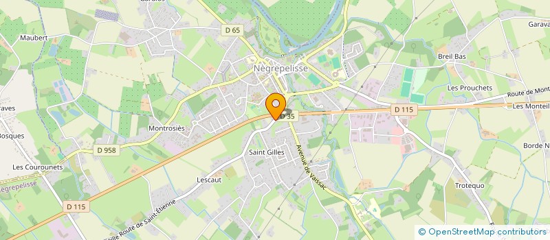 localisation de l'entreprise MONSIEUR LUIS DA SILVA CARVALHO  NEGREPELISSE