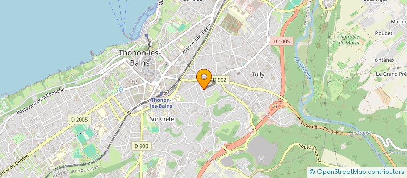 localisation de l'entreprise MONSIEUR LUIS DE JESUS FERREIRA à THONON-LES-BAINS