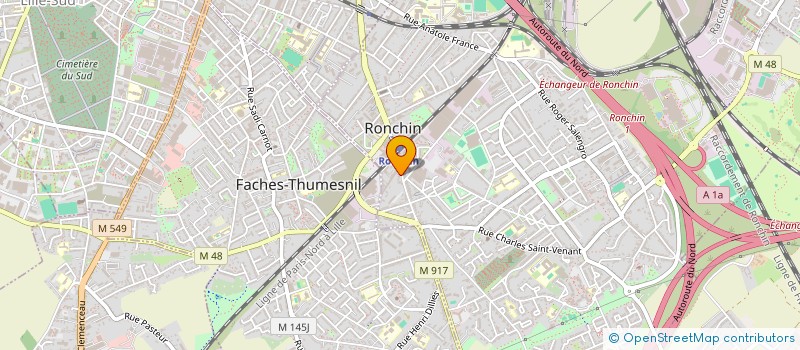 localisation de l'entreprise MONSIEUR LUIS FERRAZ DO CARMO ESTEVAO  RONCHIN