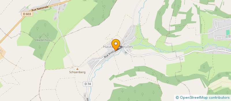 localisation de l'entreprise MONSIEUR LUIS ROBERTO CORREA MOLINA  HALLERING