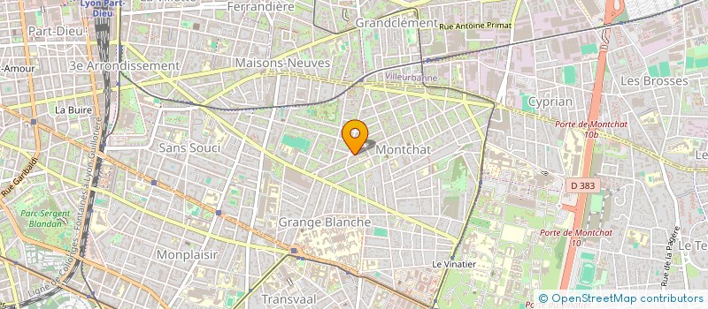 localisation de l'entreprise MONSIEUR LUIS RODRIGO DOMINGOS RIBEIRO  LYON