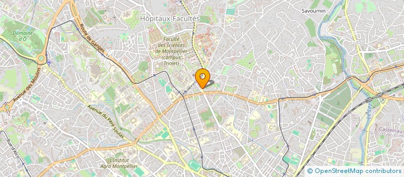 localisation de l'entreprise MONSIEUR LUIS TOBON CUELLAR à MONTPELLIER