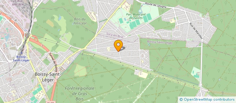 localisation de l'entreprise MONSIEUR LUIS VIEIRA DE OLIVEIRA à BOISSY-SAINT-LEGER