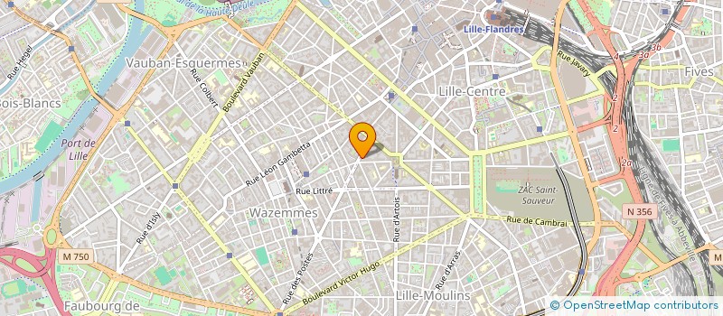 localisation de l'entreprise MONSIEUR LUOVIC BIZEUR à LILLE