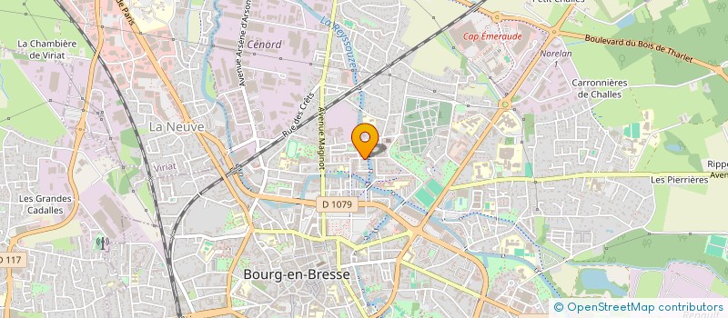 localisation de l'entreprise MONSIEUR LUTFU YAGCI  BOURG-EN-BRESSE