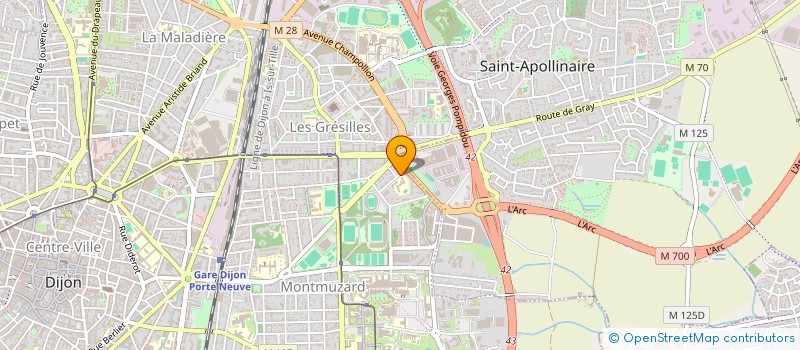 localisation de l'entreprise MONSIEUR LYES LAOUISSET  DIJON