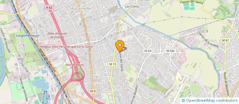 localisation de l'entreprise MONSIEUR LYONNEL PLUMASSEAU à TOULOUSE